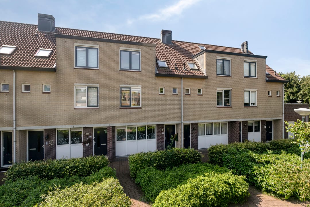 Photo 31 of Goudvink 39