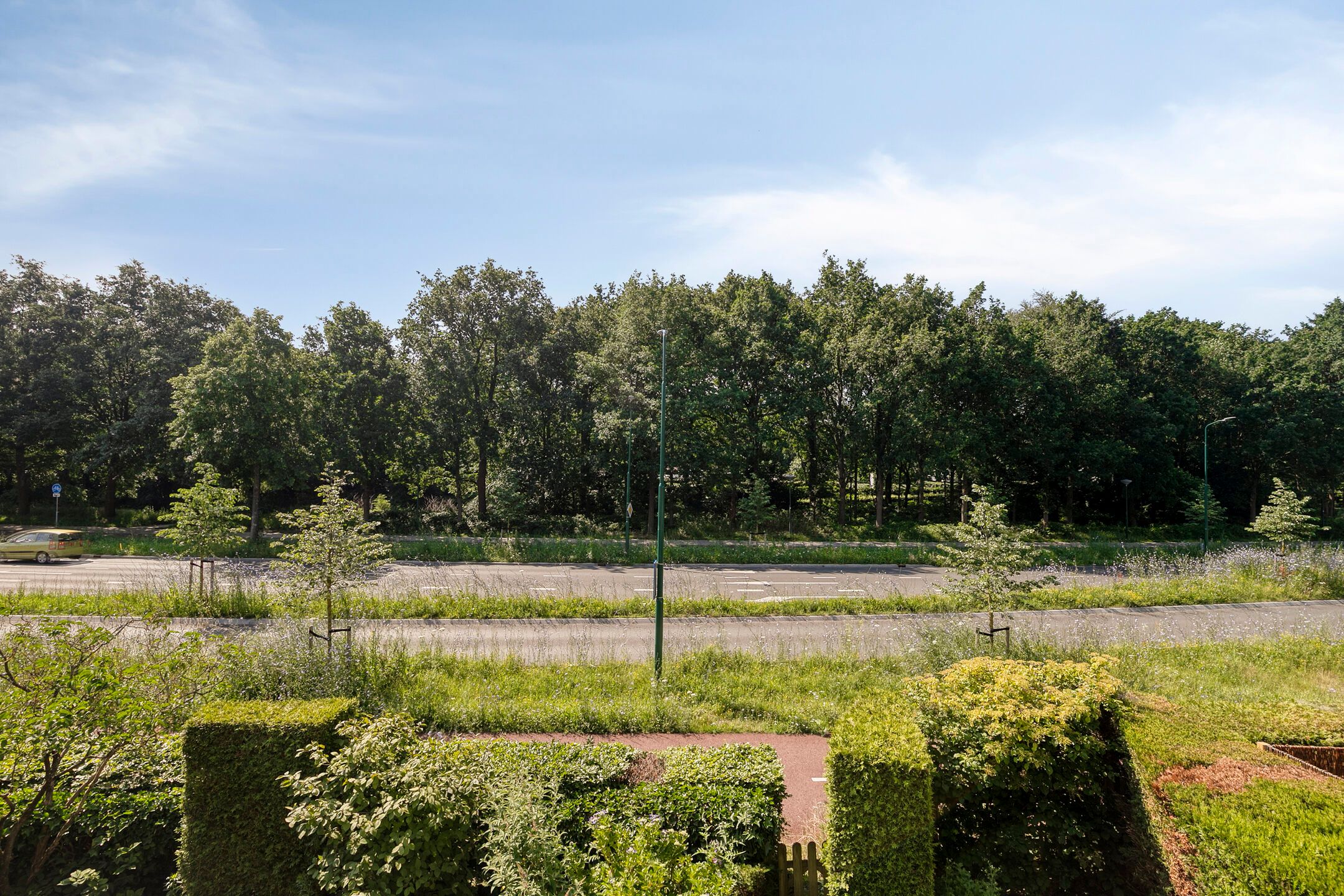 Photo 3 of Goudvink 39