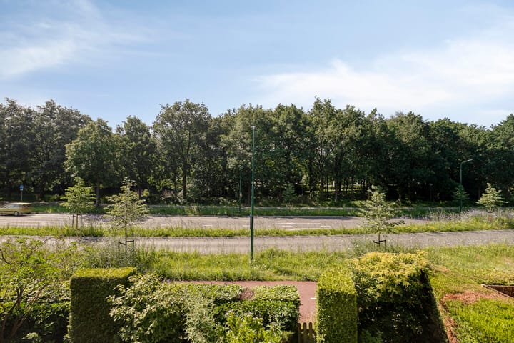 Photo 3 of Goudvink 39