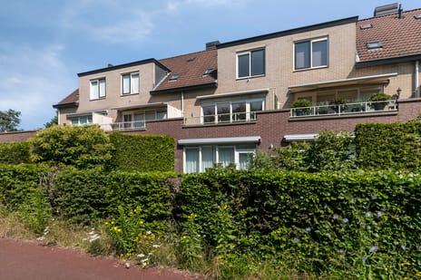 Goudvink thumbnail
