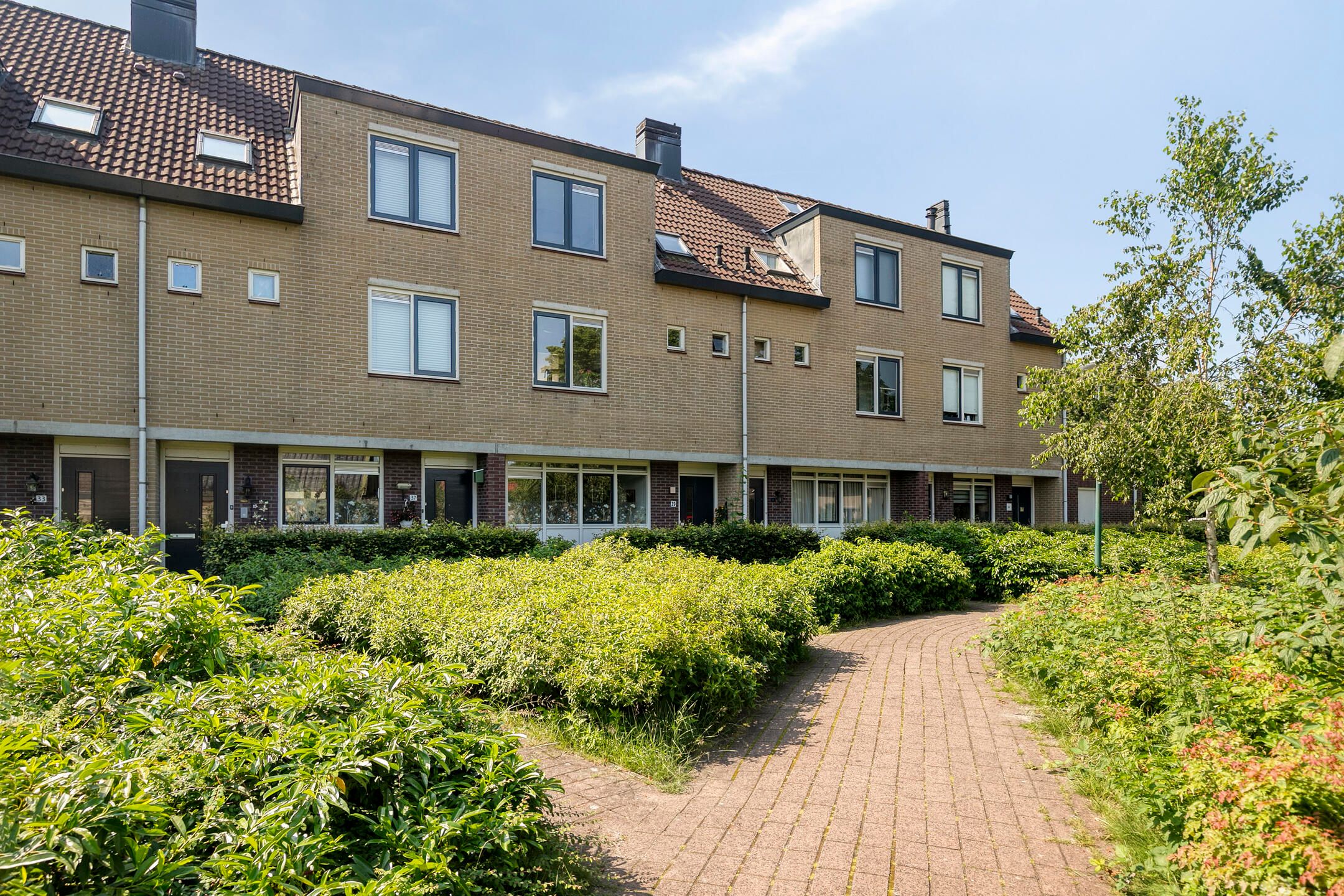 Photo 30 of Goudvink 39