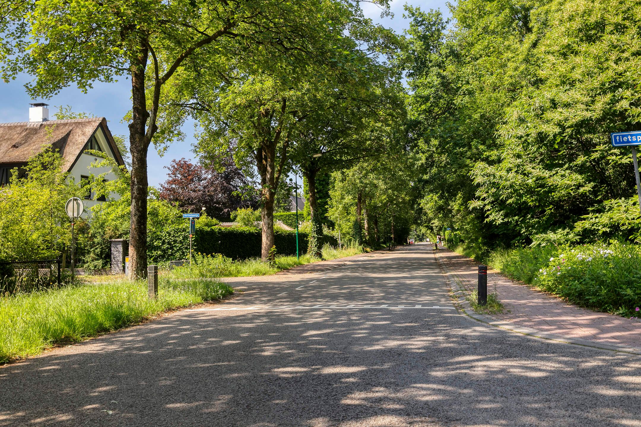 Photo 33 of Goudvink 39