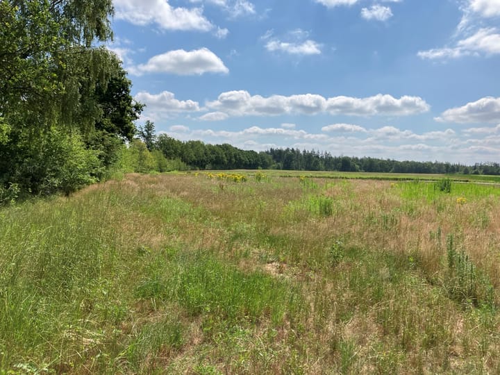 Kloosterhoefweg, Leende