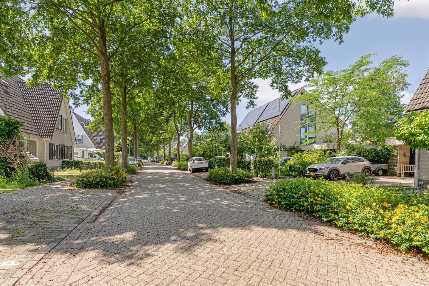 Foto 49 van P. Ellingstraat 15