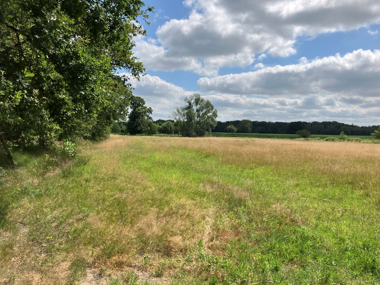 Brugseheide - Valkenswaard - Afbeelding 1