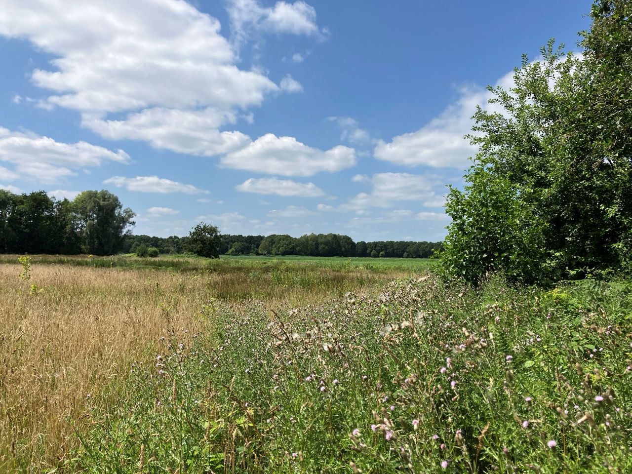 Bruggerhuizen - Leende - Afbeelding 2