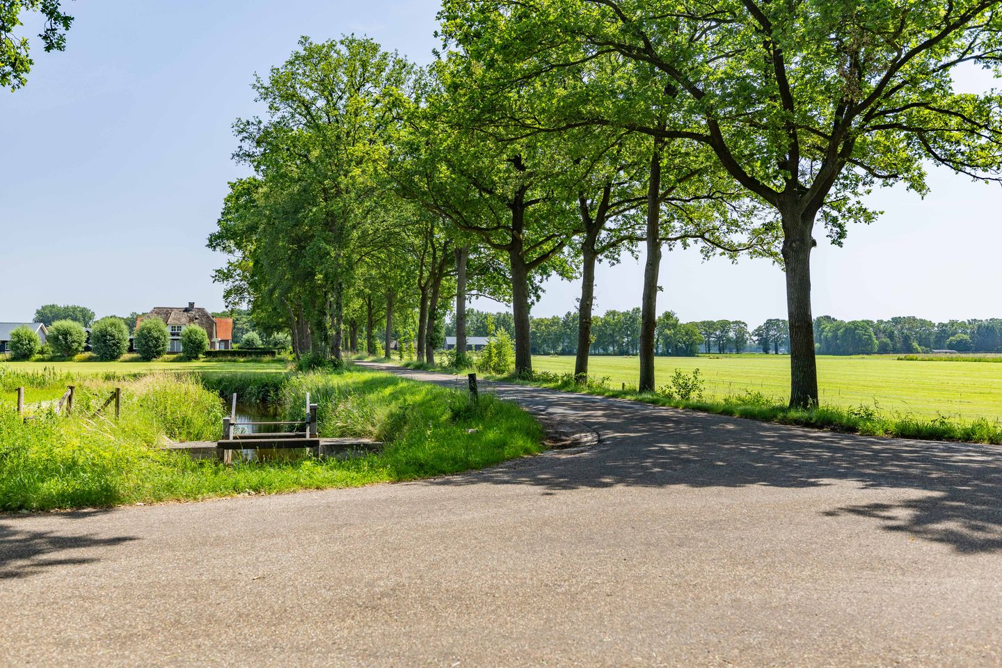Photo 55 of Dwarsdijk 6