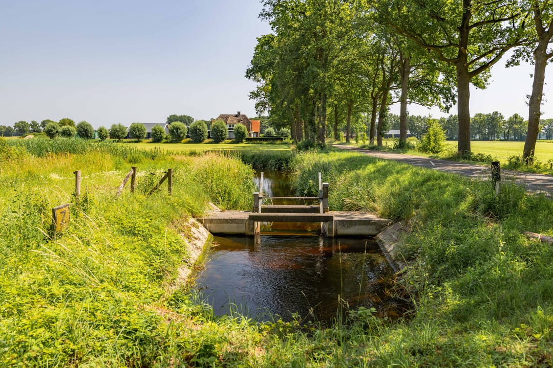 Photo 56 of Dwarsdijk 6