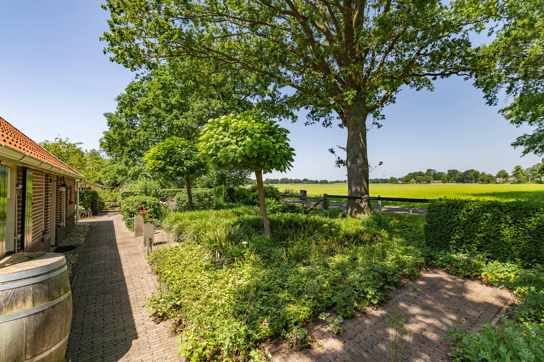 Photo 52 of Dwarsdijk 6