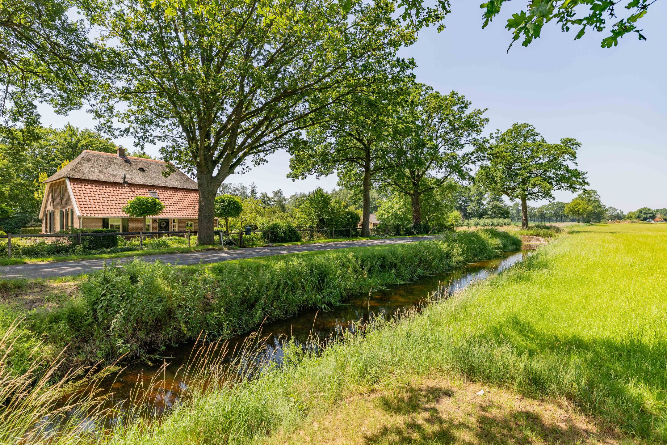 Photo 57 of Dwarsdijk 6