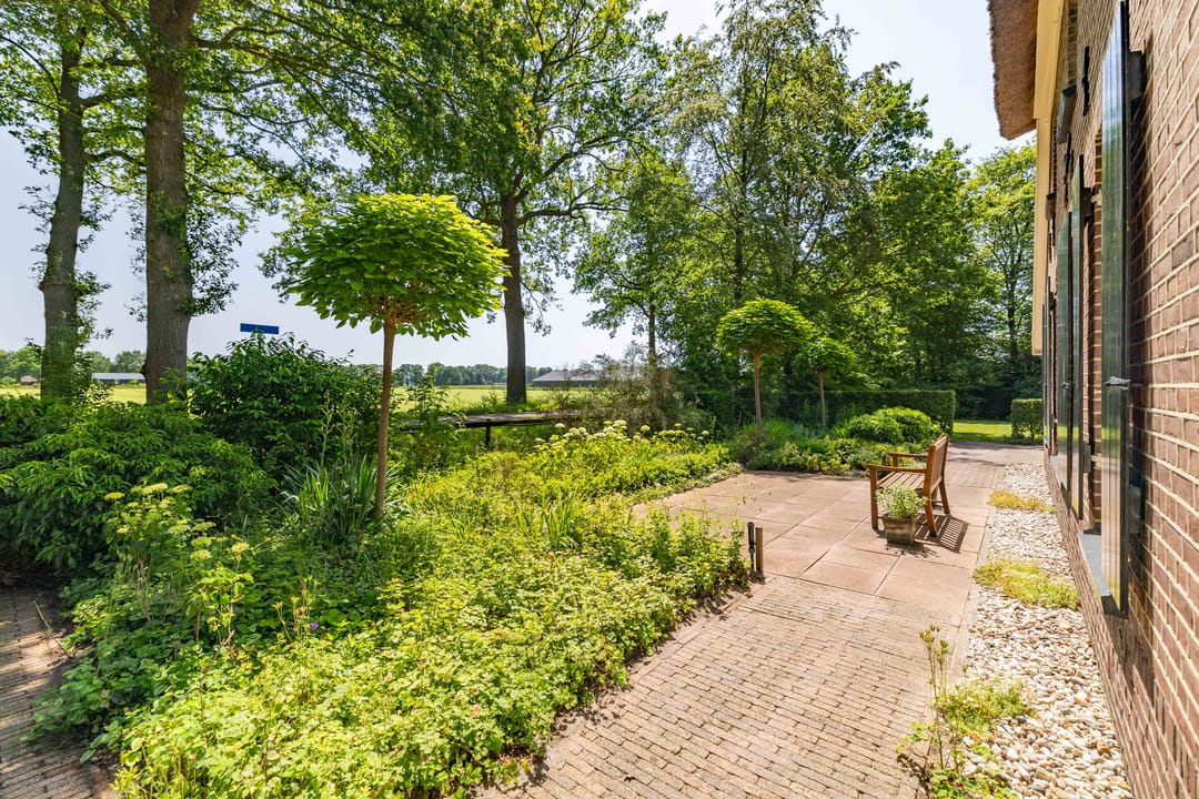 Photo 53 of Dwarsdijk 6