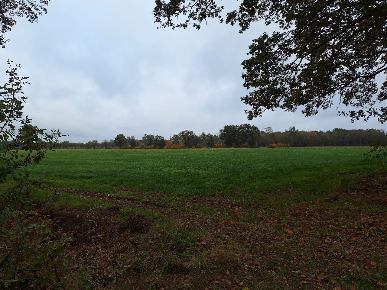 Bruggerhuizen - Leende - Afbeelding 1