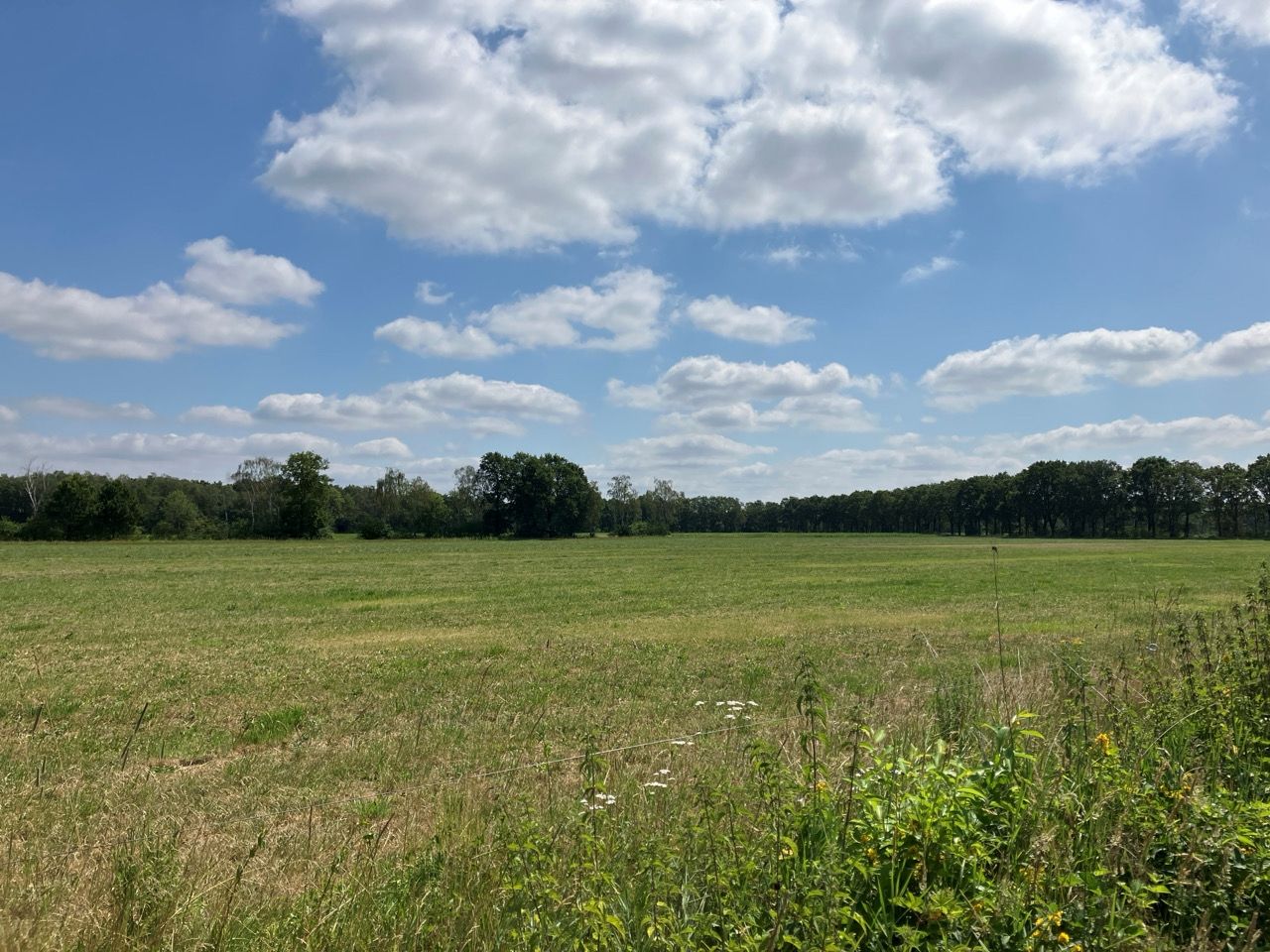 Bekijk foto 1 van Bruggerhuizen