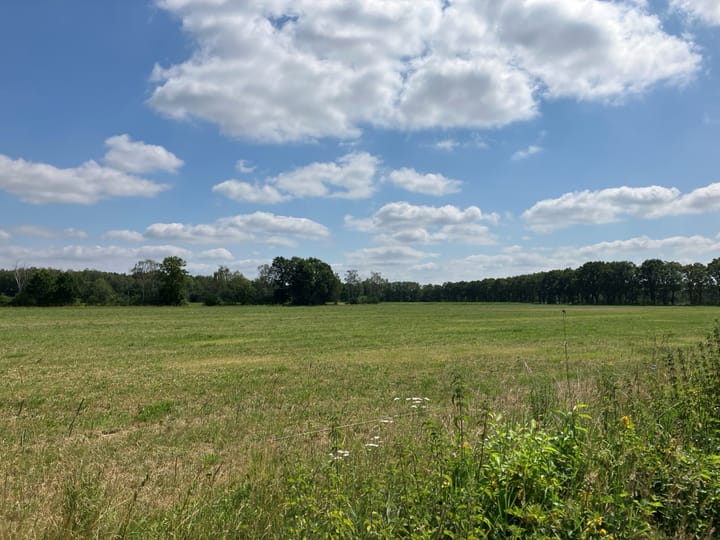 Bruggerhuizen, Leende