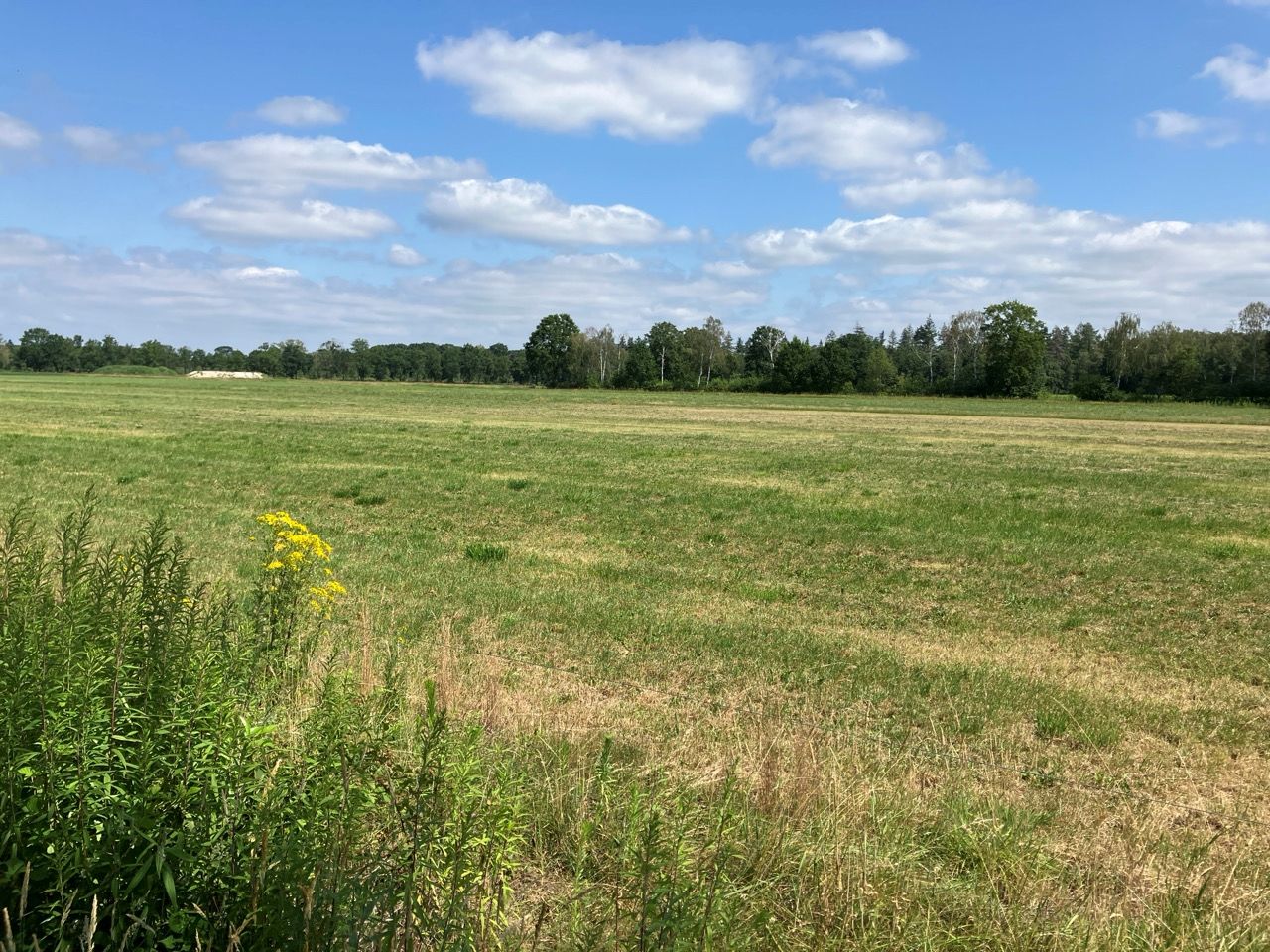 Bekijk foto 1 van Bruggerhuizen