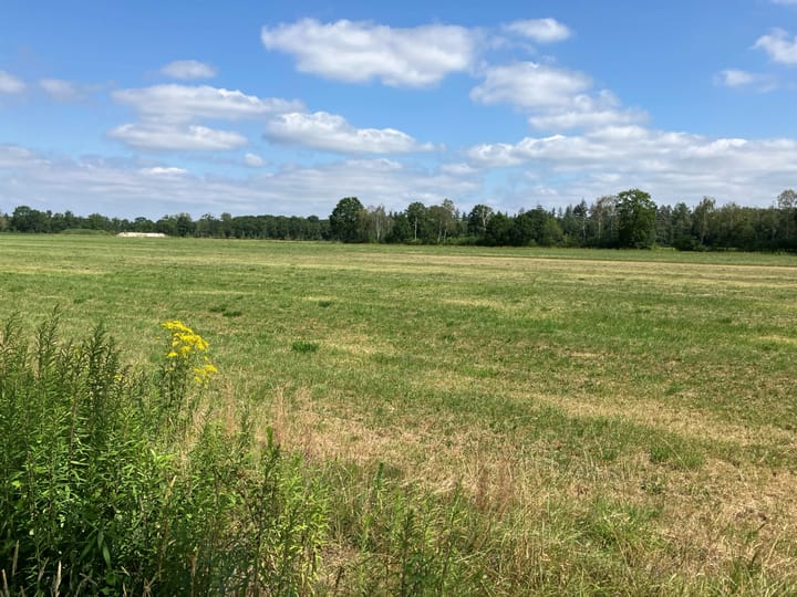 Bruggerhuizen, Leende