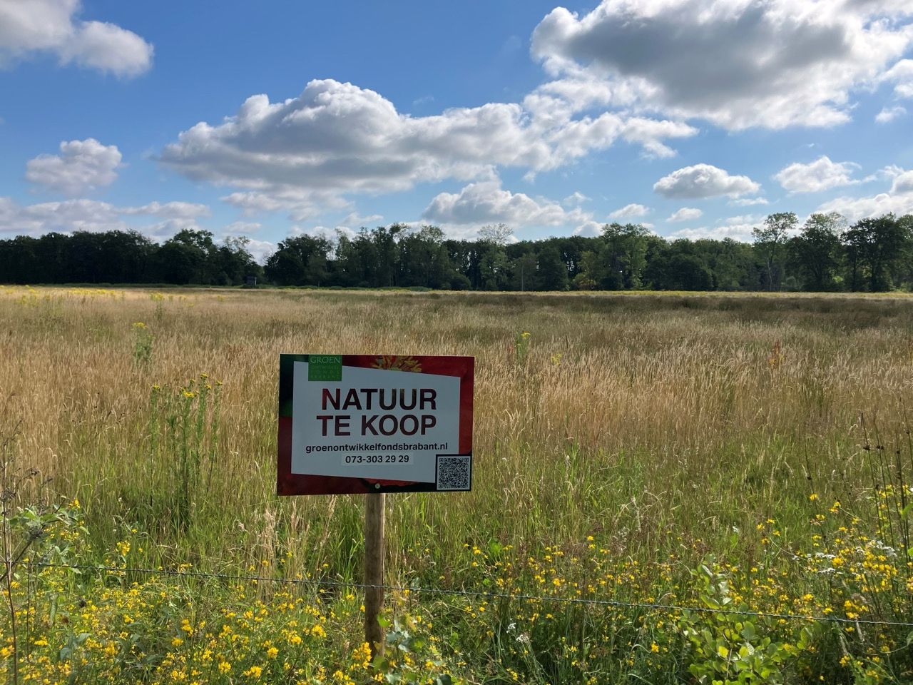 Bekijk foto 1 van Opperheide
