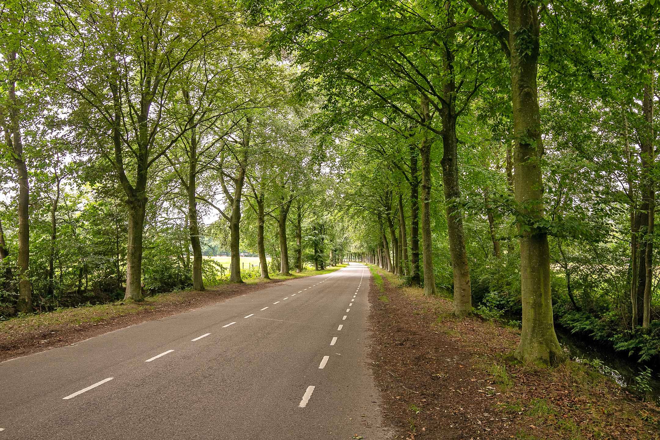 Foto 48 van Eikenhorstweg 12-B