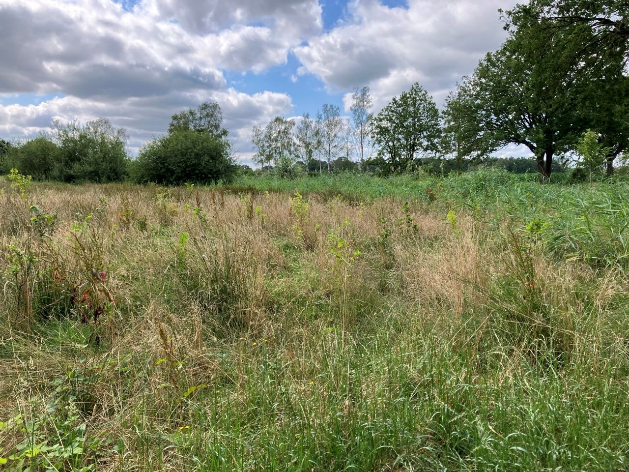 Bekijk foto 1 van Bruggerhuizen