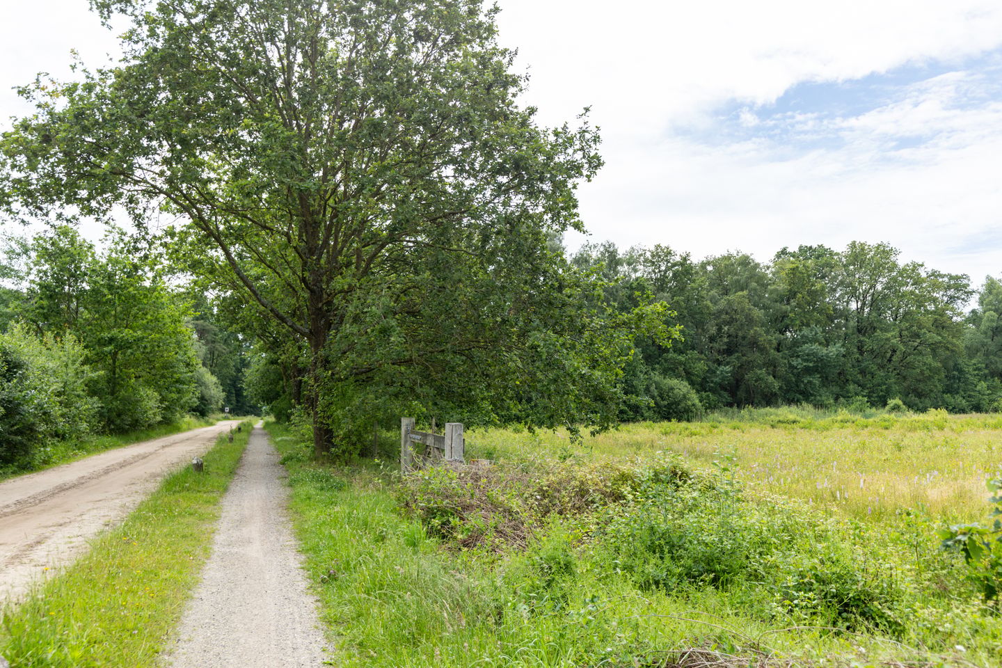 Foto 44 van Kattenbergweg 1-72