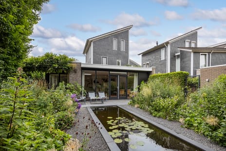 Almeerderhout thumbnail