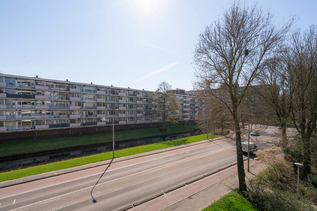 Photo 16 of Donau 26