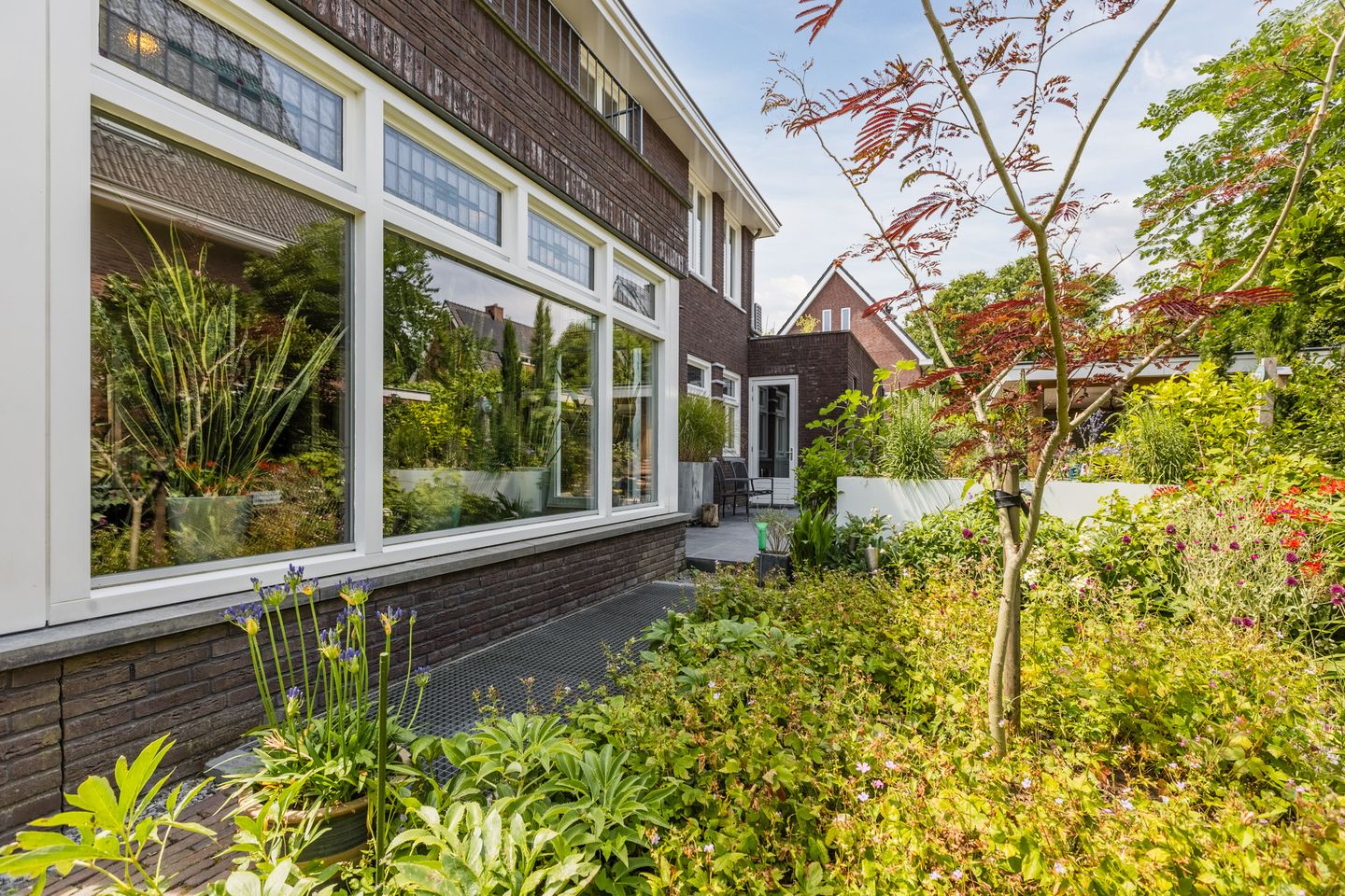 Foto 74 van Parelmoervlinder 20
