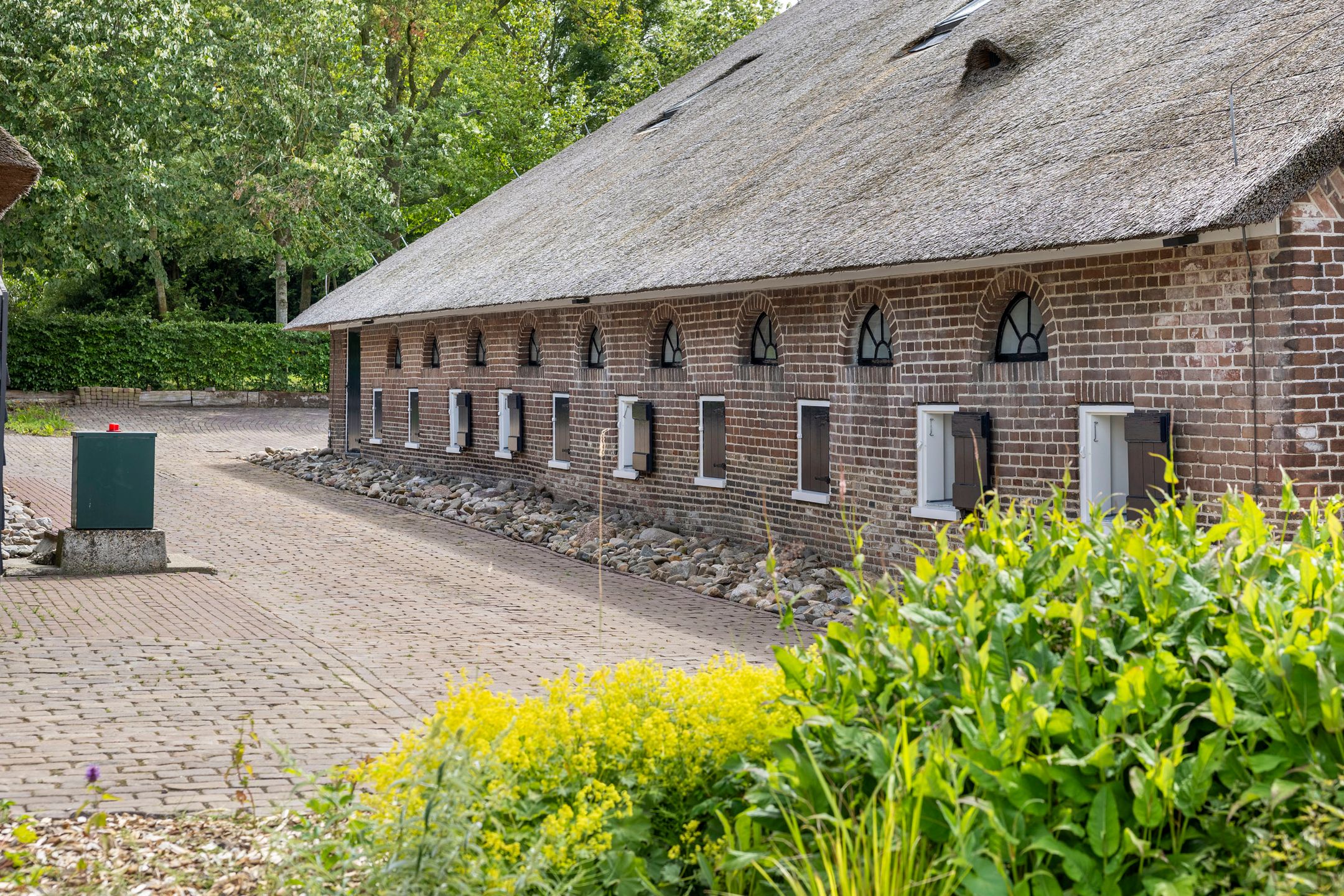 Photo 87 of Leeuwte 51
