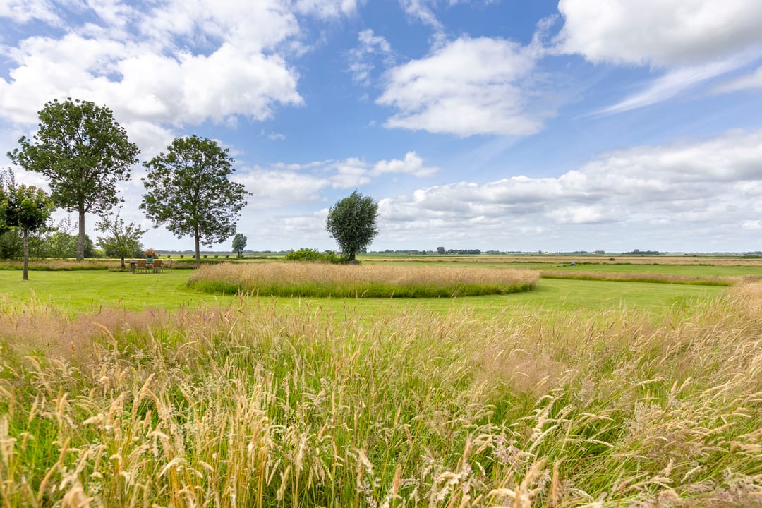 Photo 56 of Leeuwte 51