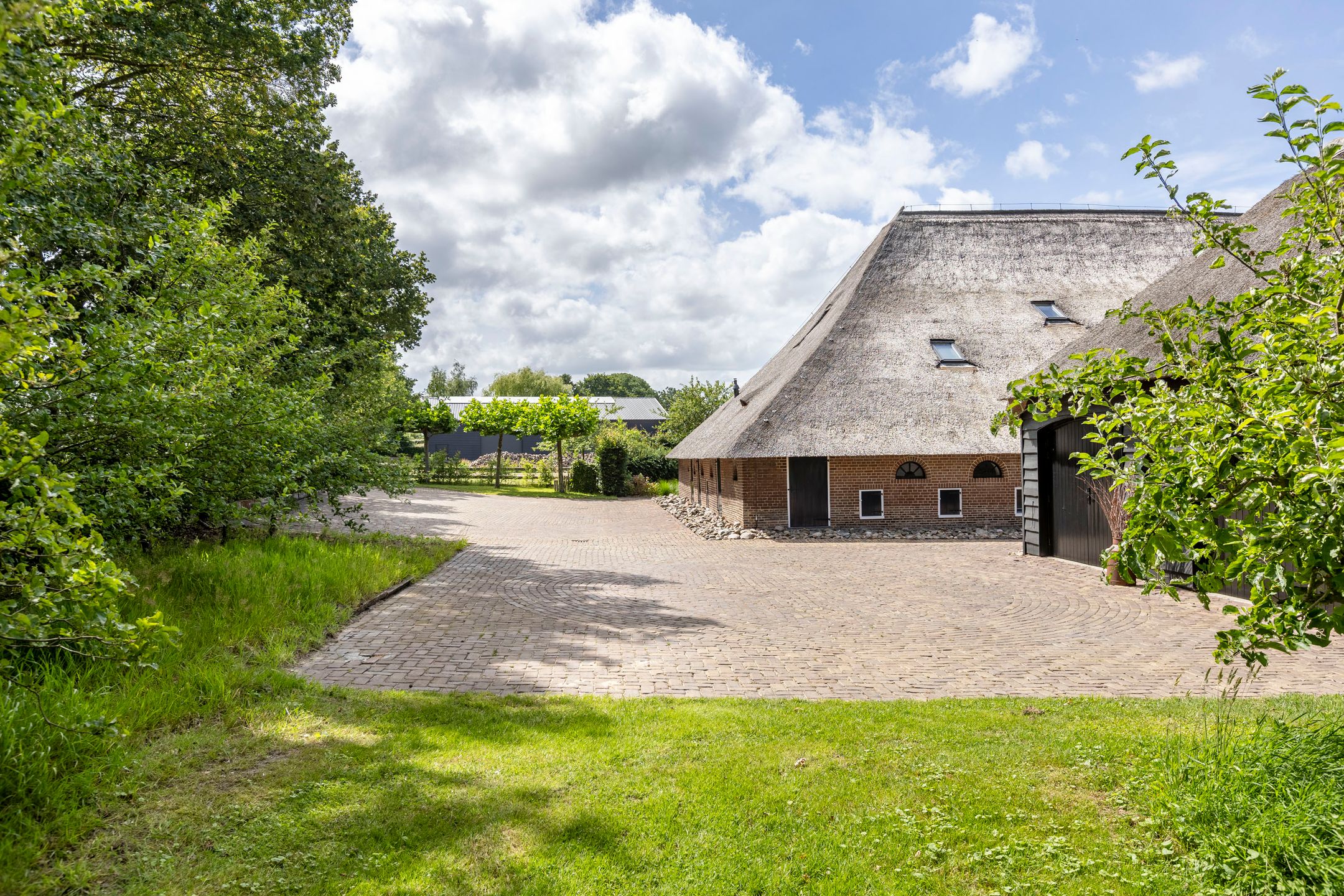 Photo 81 of Leeuwte 51