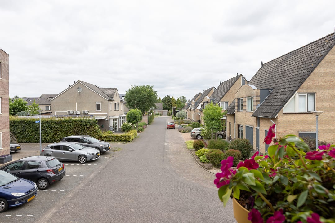Photo 26 of Bulten 14