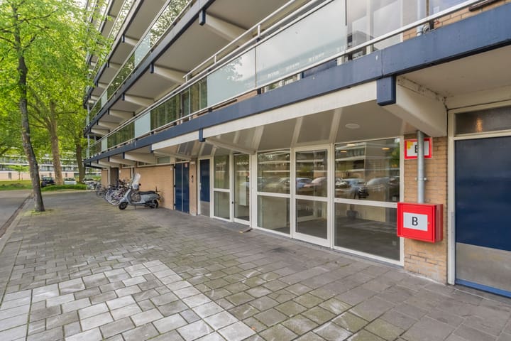 Foto 4 van Dunantstraat 334