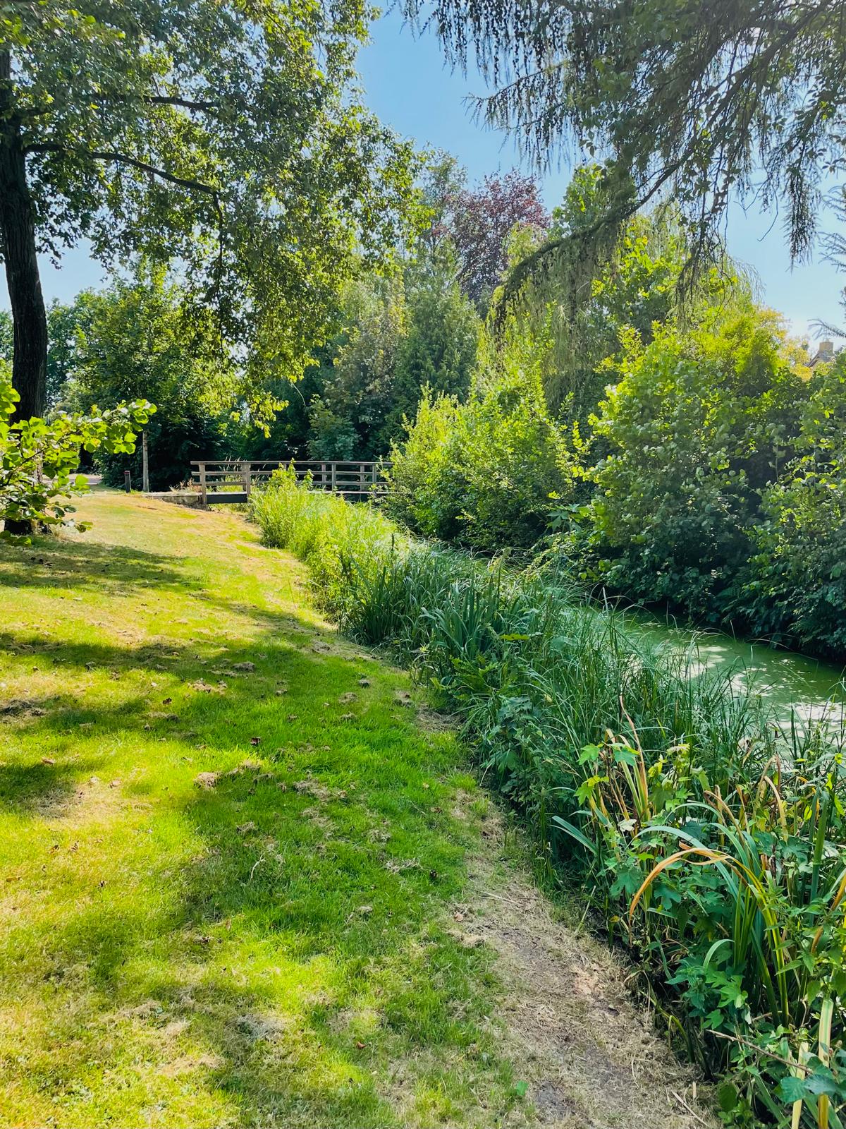 Photo 50 of Fazantenhof 126