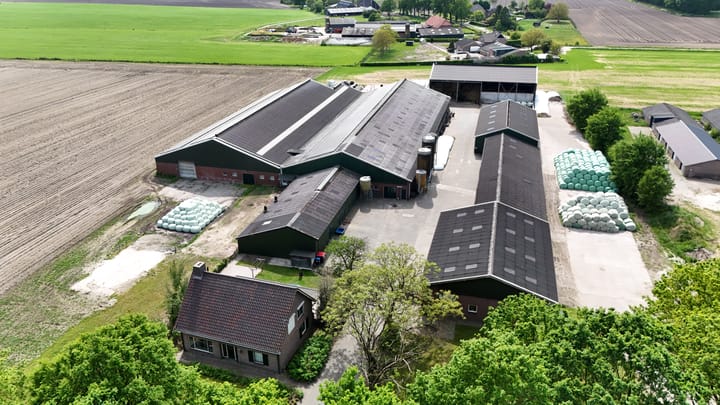 Noenes 16, Haaren
