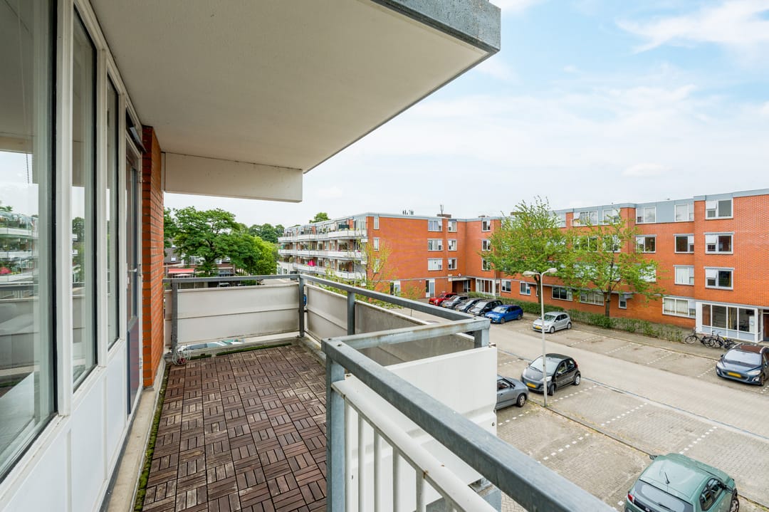 Foto 11 van Havikskruid 133