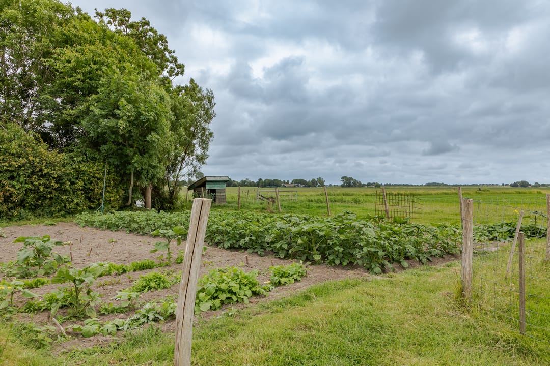 Photo 38 of Burghornerweg 2-B