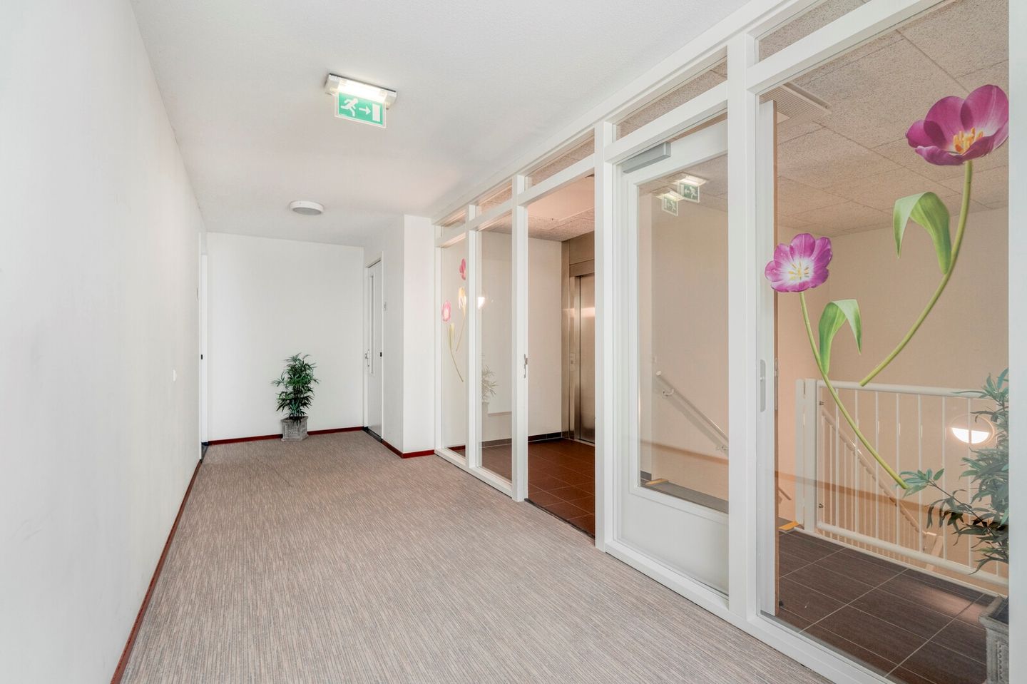 Foto 4 van Hofstraat 53