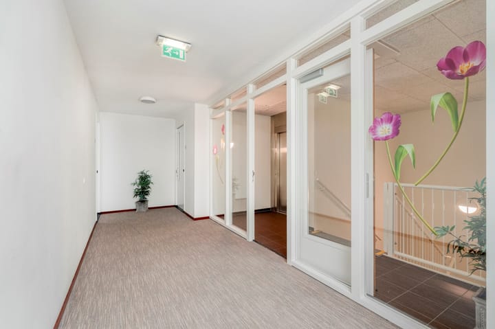 Foto 4 van Hofstraat 53