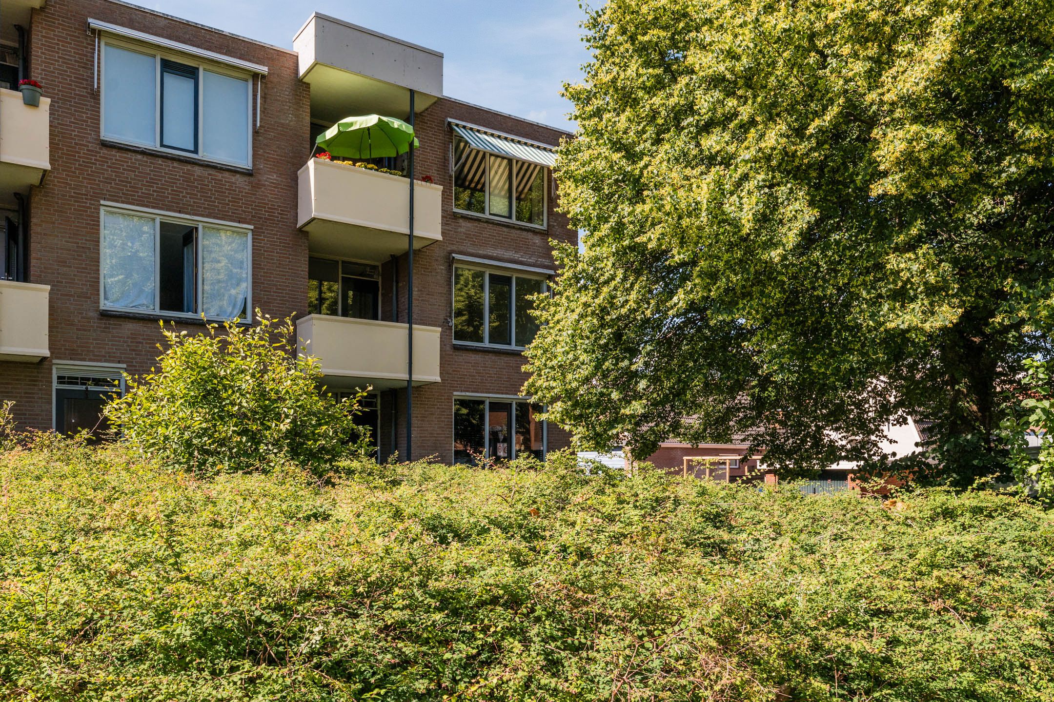 Bielzen 11 