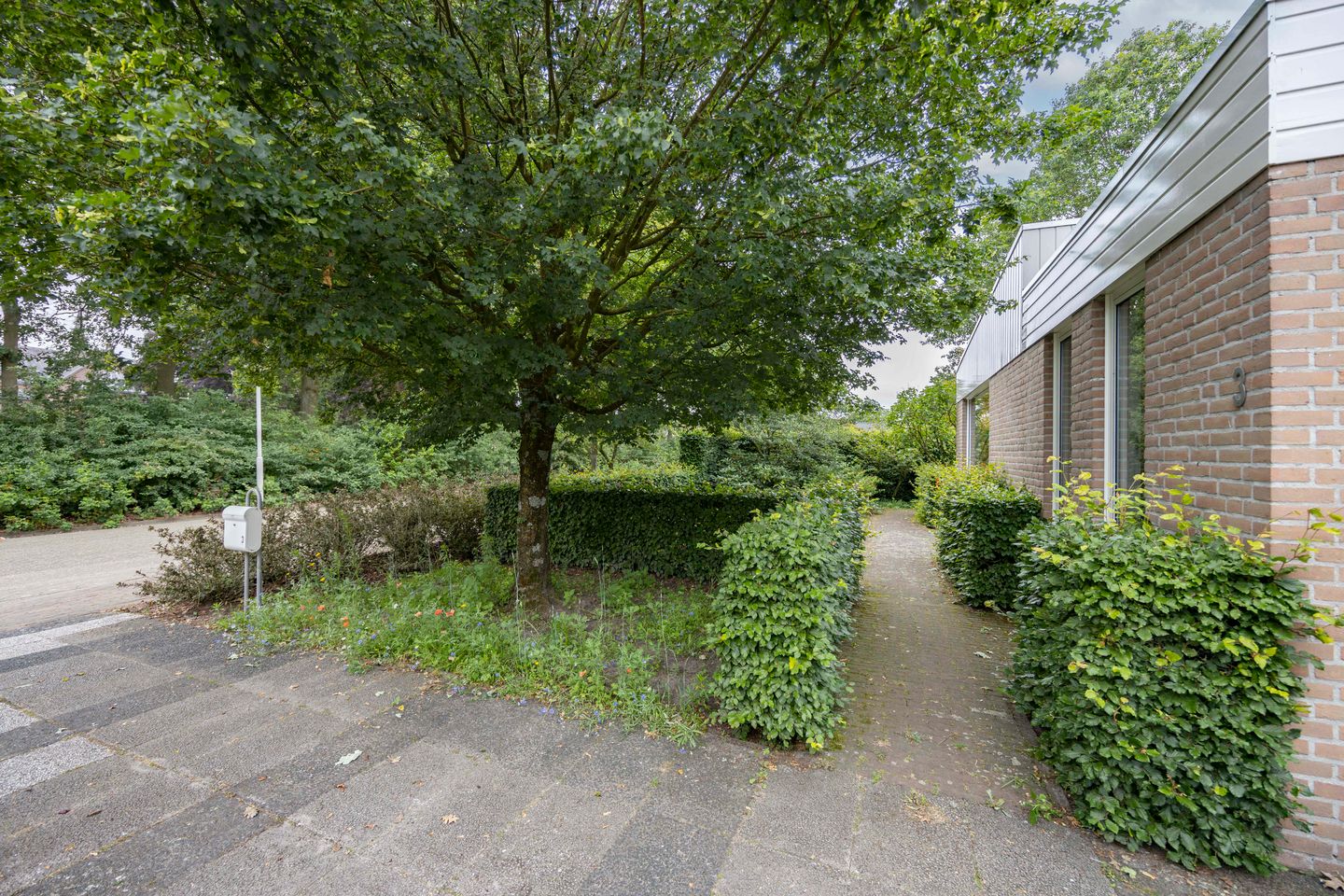 Foto 44 van Rozenstraat 3
