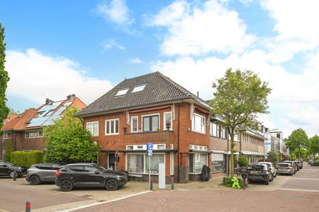 Goudriaanstraat thumbnail