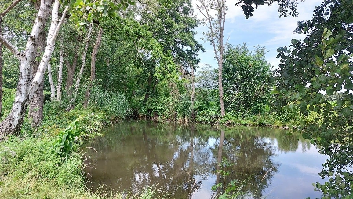 Photo 35 of Willinkhof 9