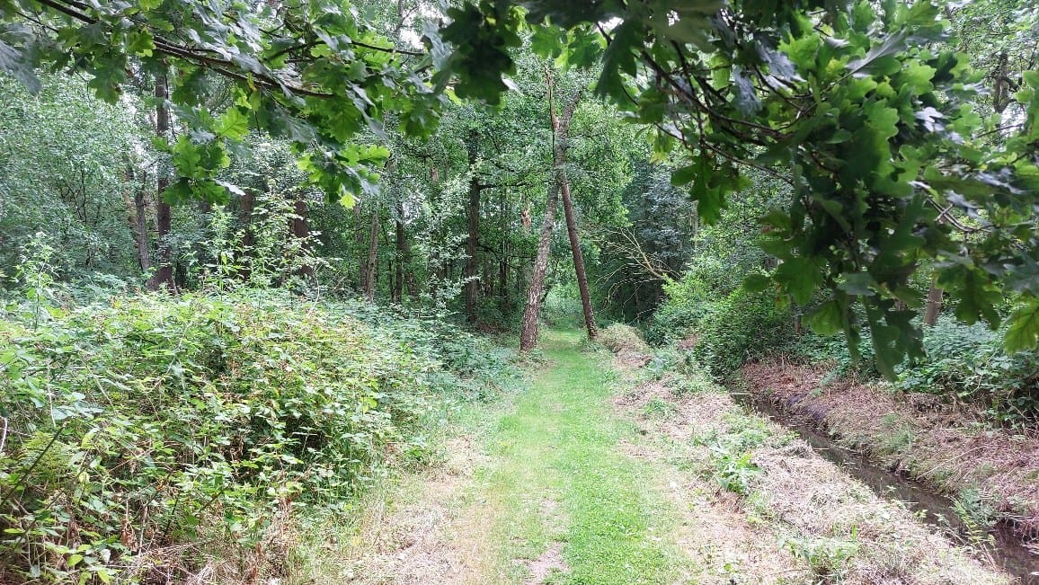 Photo 36 of Willinkhof 9