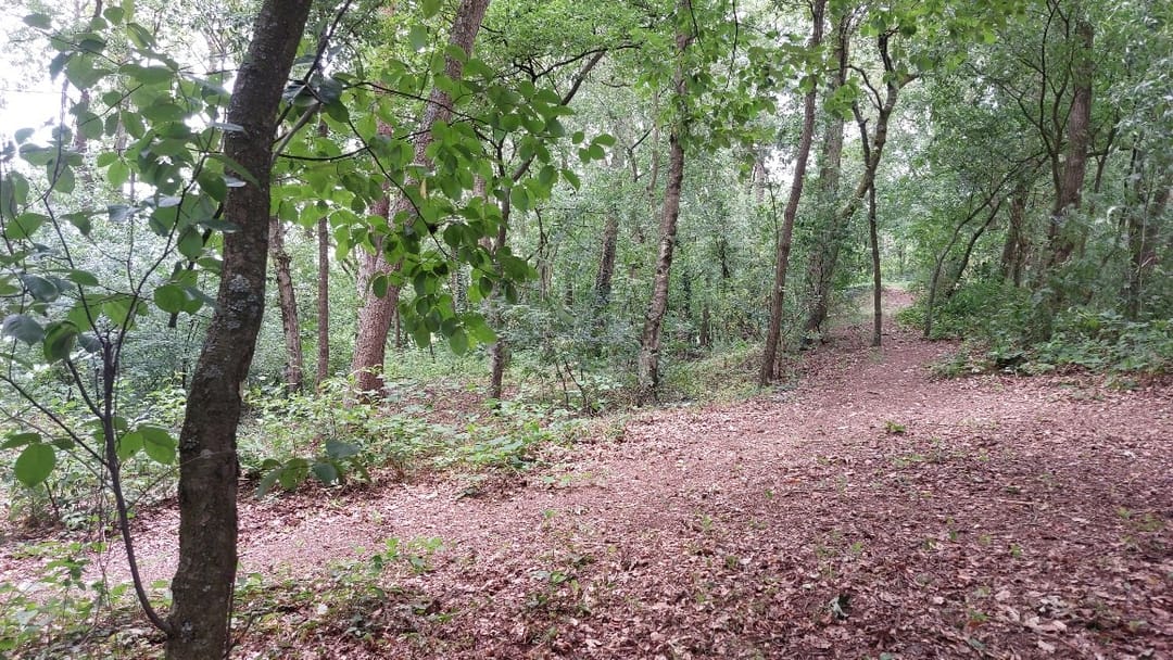 Photo 37 of Willinkhof 9