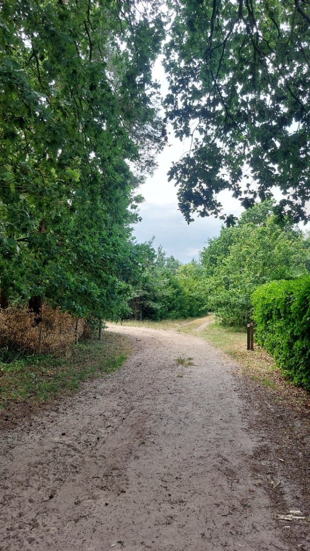Photo 38 of Willinkhof 9