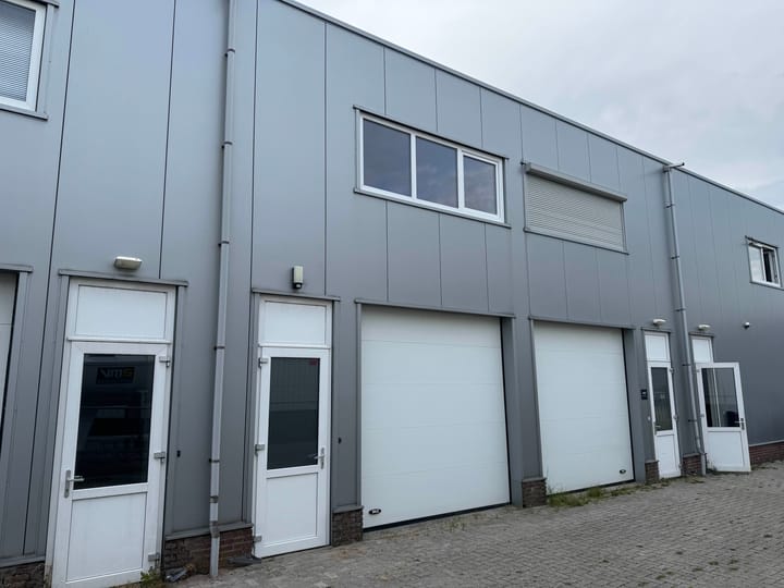 De Dolfijn 64-F