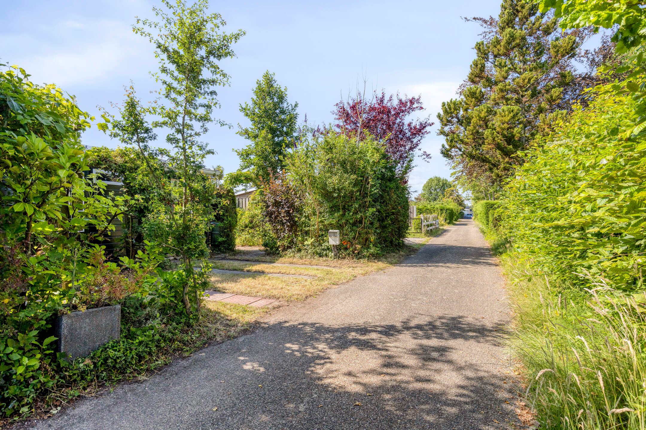 Photo 48 of Geertruidaweg 40
