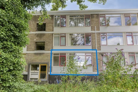 Thorbeckestraat thumbnail