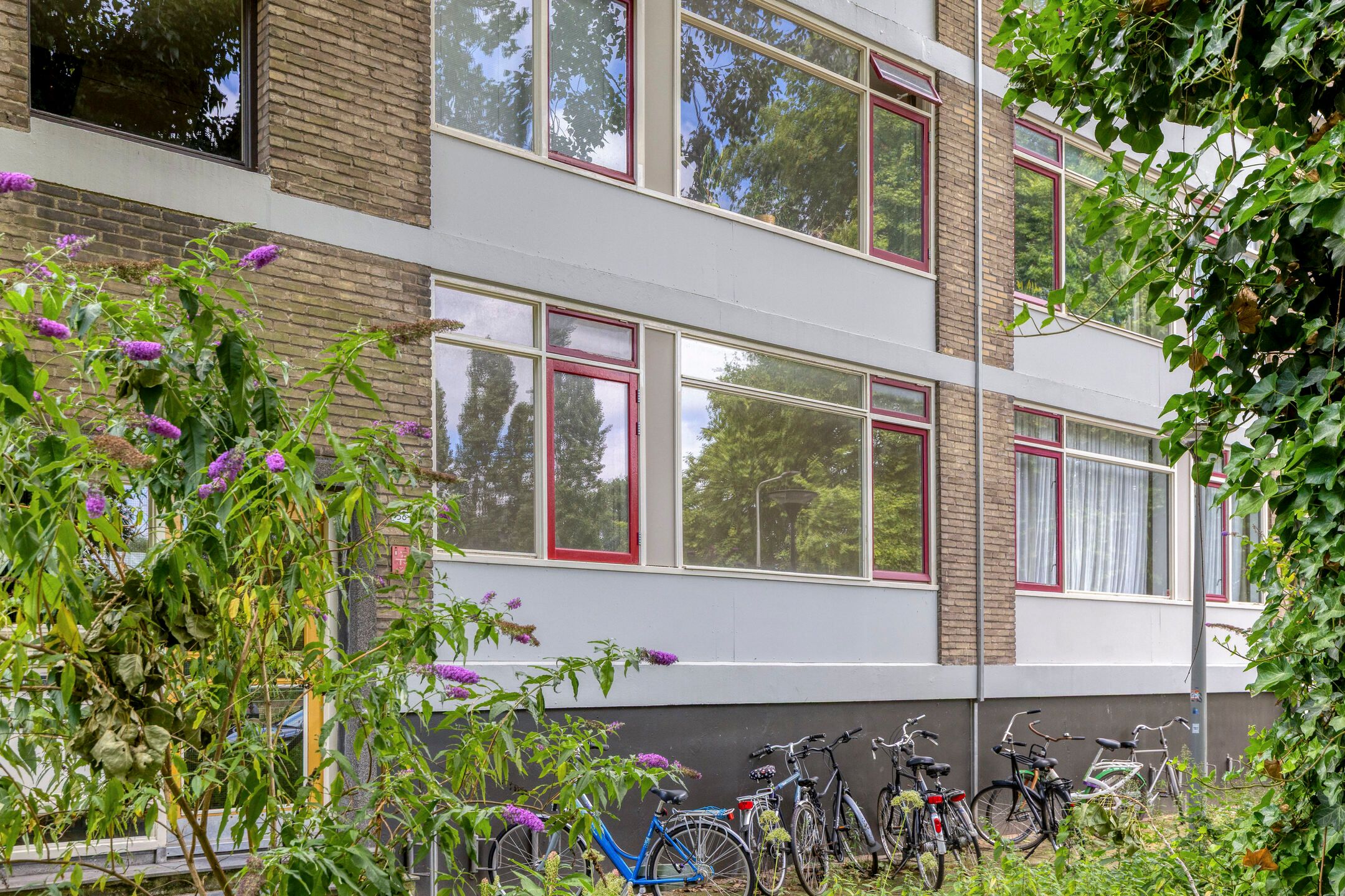 Foto 6 van Thorbeckestraat 36-1