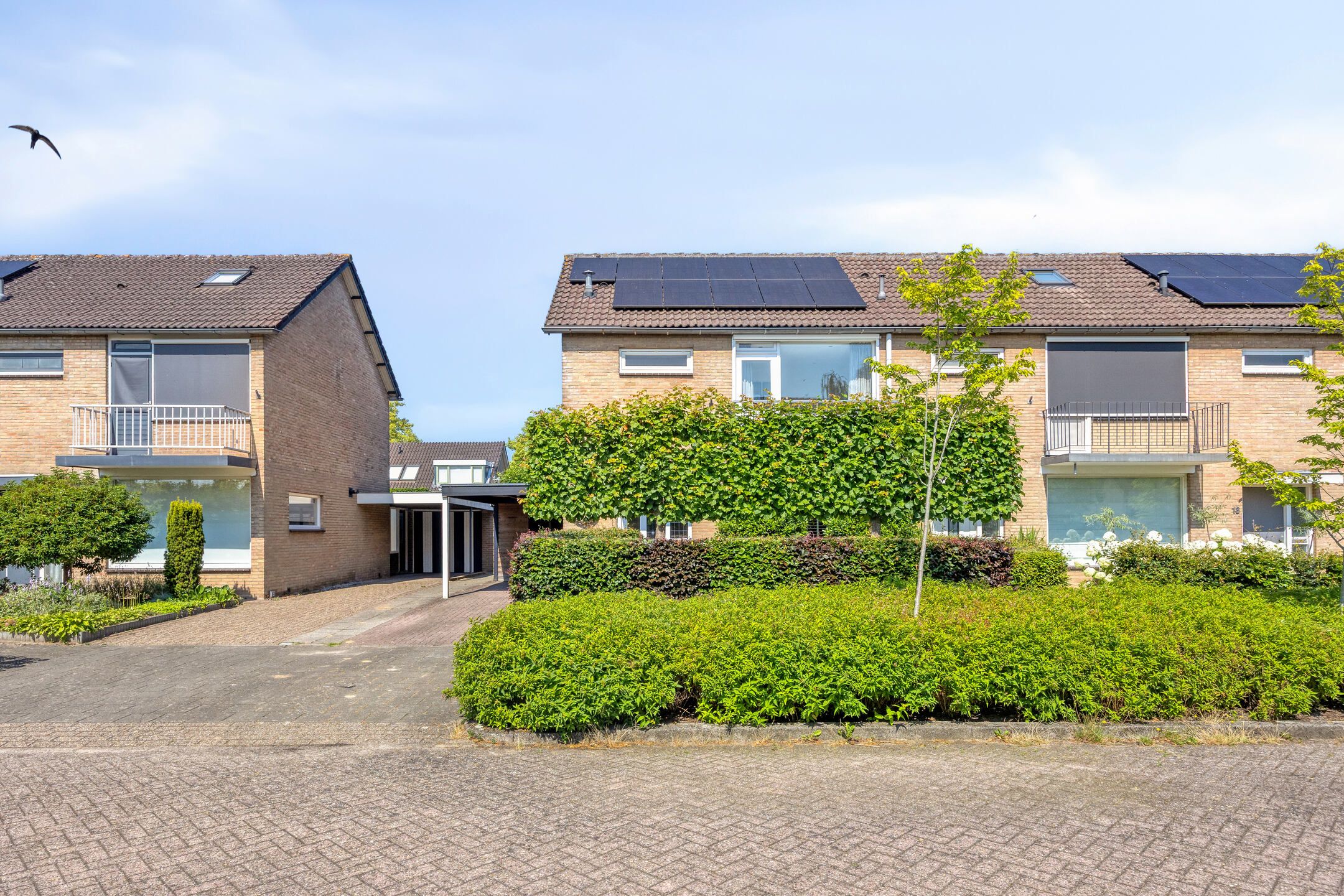 Foto 42 van de Haere 22